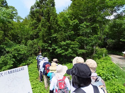 DSCF2584.jpg