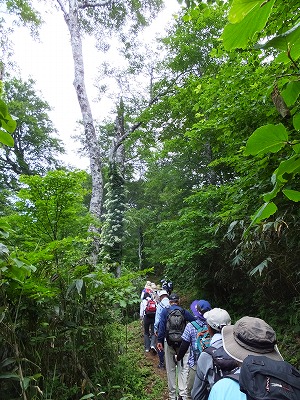 DSCF2605.jpg