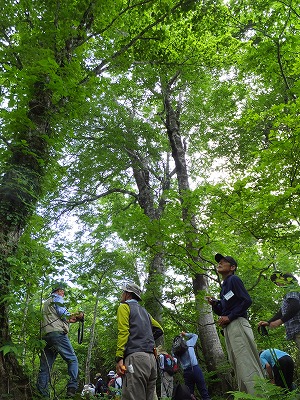 DSCF2637.jpg