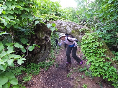 DSCF2666.jpg