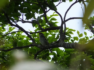 DSCF2683.jpg