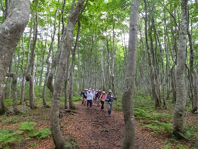 DSCF2719.jpg