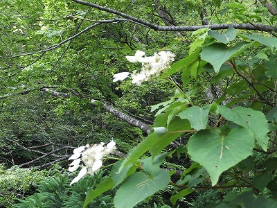 DSCF3022.jpg