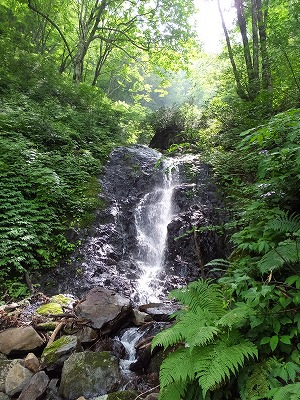 DSCF3027.jpg