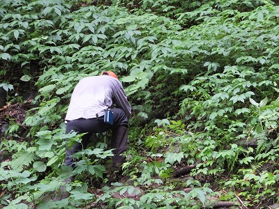 DSCF3065.jpg