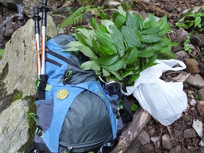 DSCF3068.jpg