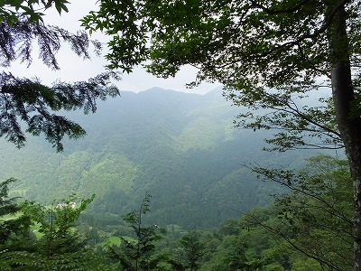 DSCF3077.jpg