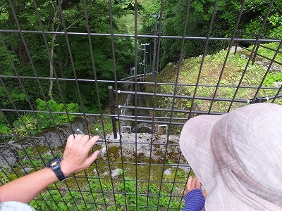 DSCF3083.jpg