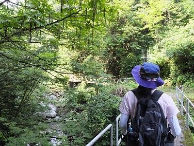 DSCF3700.jpg