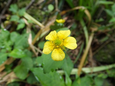 DSCF3710.jpg