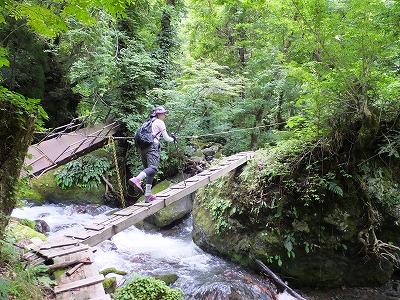 DSCF3715.jpg