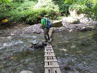 DSCF3717.jpg