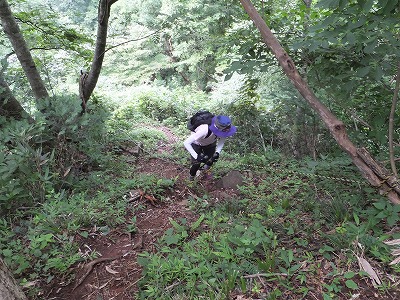 DSCF3728.jpg