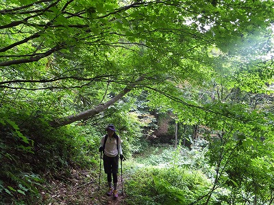 DSCF3731.jpg