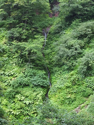 DSCF3732.jpg