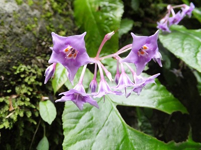 DSCF3739.jpg