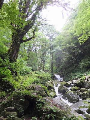 DSCF3746.jpg