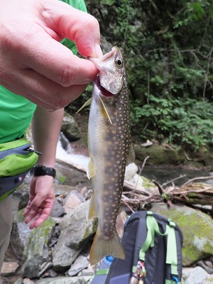 DSCF3769.jpg