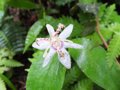DSCF4069.jpg