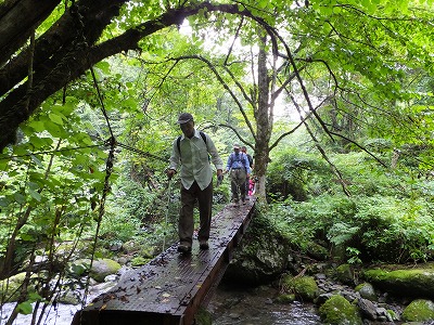 DSCF4077.jpg
