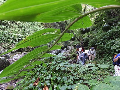 DSCF4115.jpg