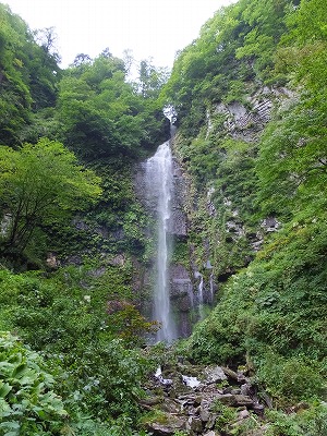 DSCF4125.jpg