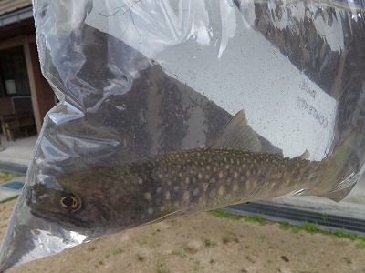DSCF4152.jpg