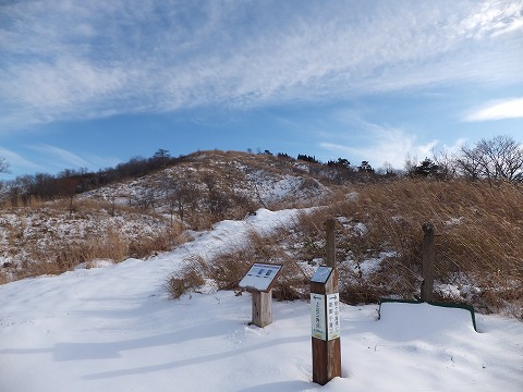 DSCF5229.jpg