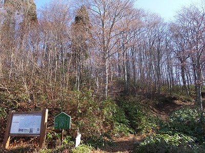 DSCF5366.jpg