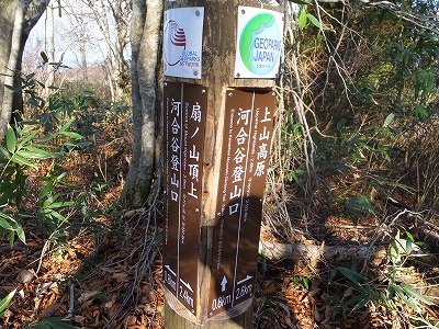 DSCF5367.jpg