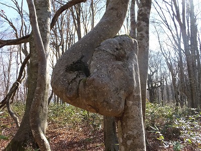 DSCF5371.jpg
