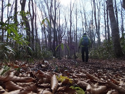 DSCF5376.jpg