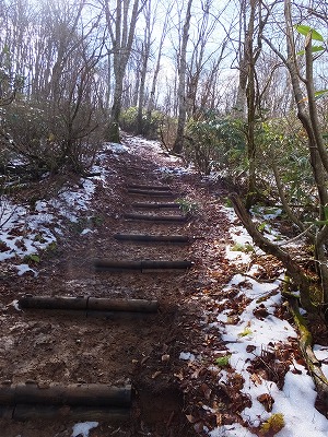 DSCF5391.jpg