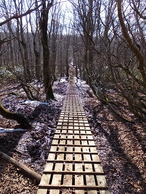 DSCF5397.jpg