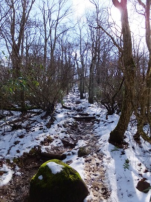 DSCF5398.jpg