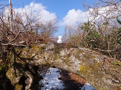 DSCF5415.jpg