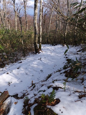 DSCF5418.jpg