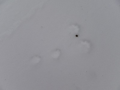 DSCF5632.jpg