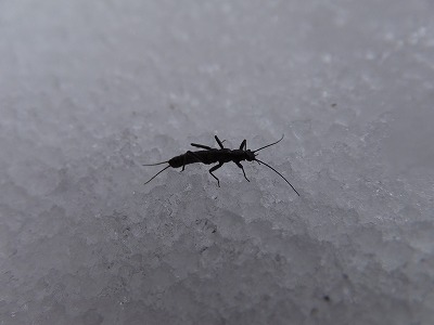DSCF5660.jpg