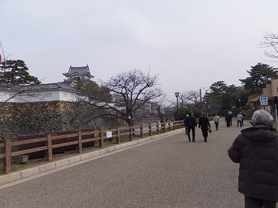DSCF5763.jpg