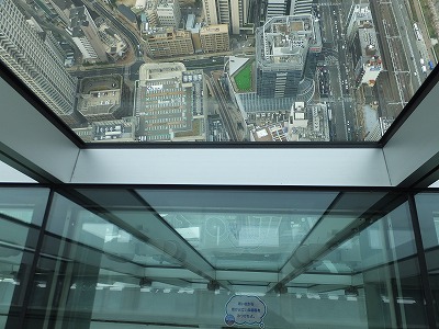 DSCF5911.jpg
