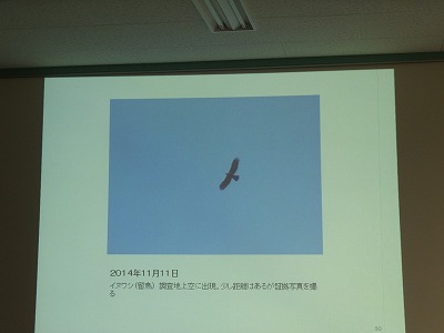 DSCF6051.jpg