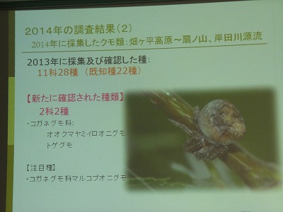 DSCF6057.jpg