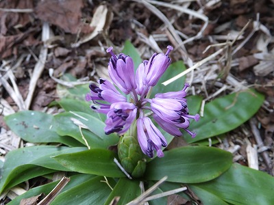 DSCF6261.jpg
