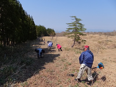 DSCF6265.jpg