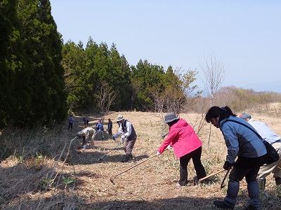 DSCF6266.jpg