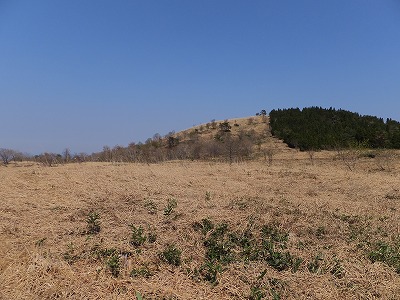 DSCF6270.jpg