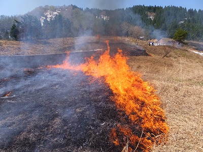 DSCF6363.jpg