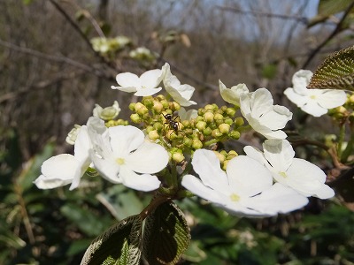 DSCF6412.jpg
