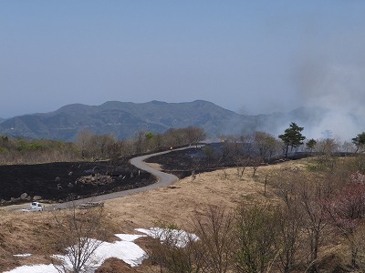 DSCF6421.jpg